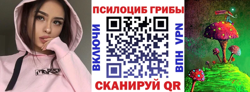 Псилоцибиновые грибы мухоморы Юрьев-Польский